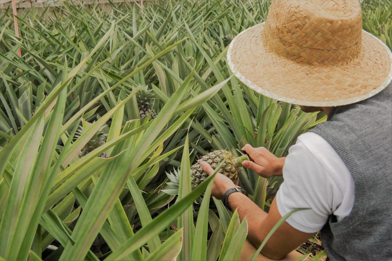 Herdade Do Ananas Ponta Delgada Exterior foto